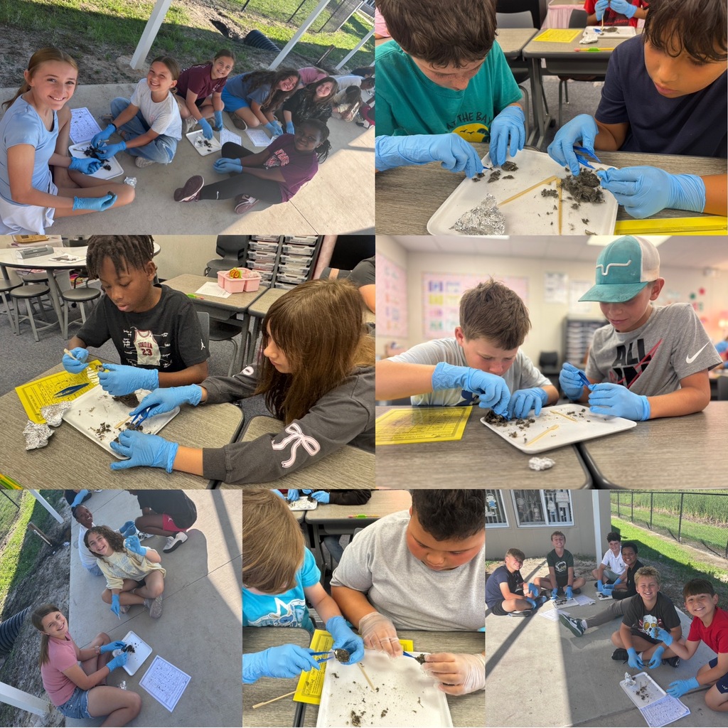 5th-grade students wearing blue gloves while dissecting owl pellets during a science lesson.