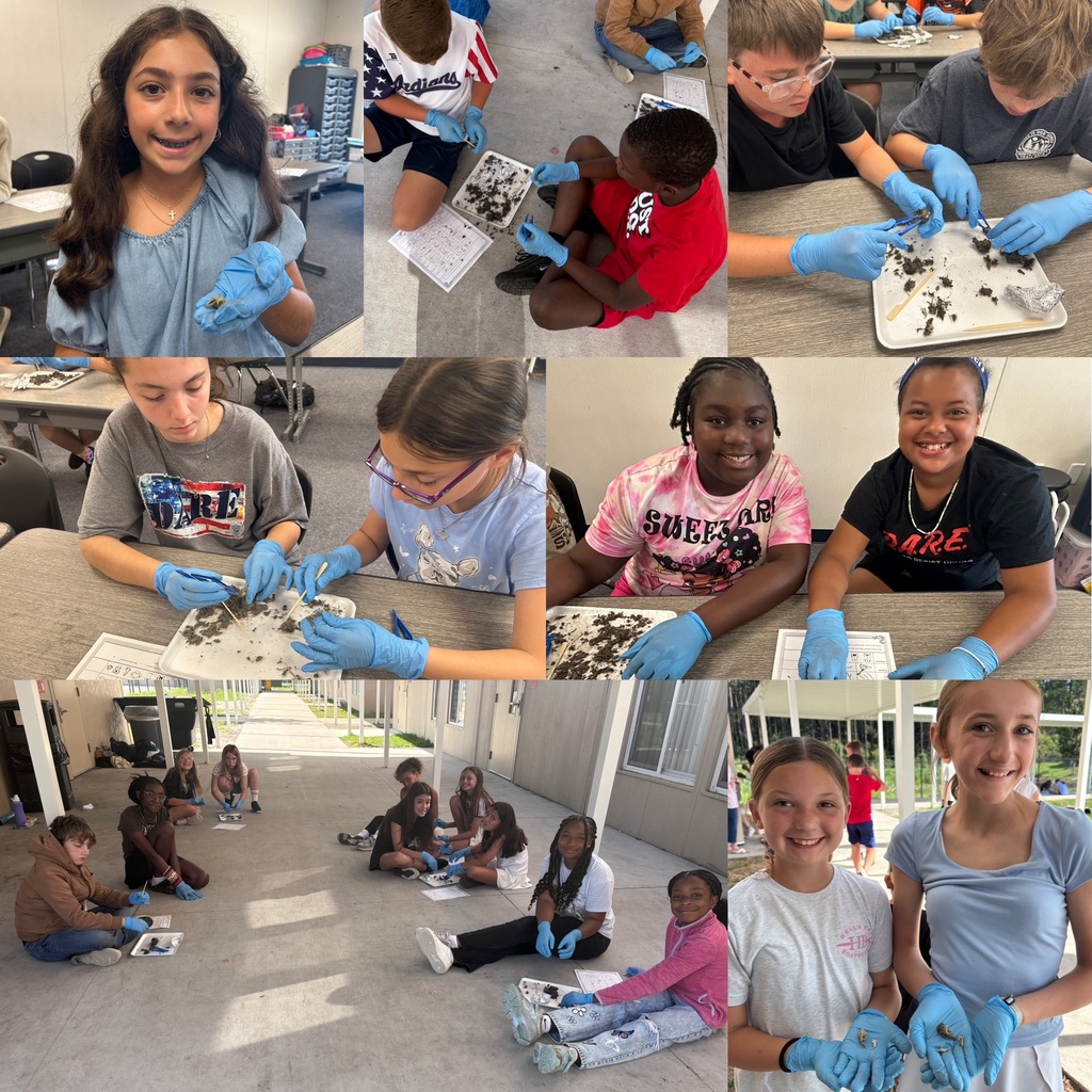 A photo collage showing 5th-grade students at Wildlight Elementary working in pairs and small groups at their school desks. They are wearing blue nitrile gloves and using plastic tools to carefully dissect owl pellets on paper trays, investigating bones and animal remains.