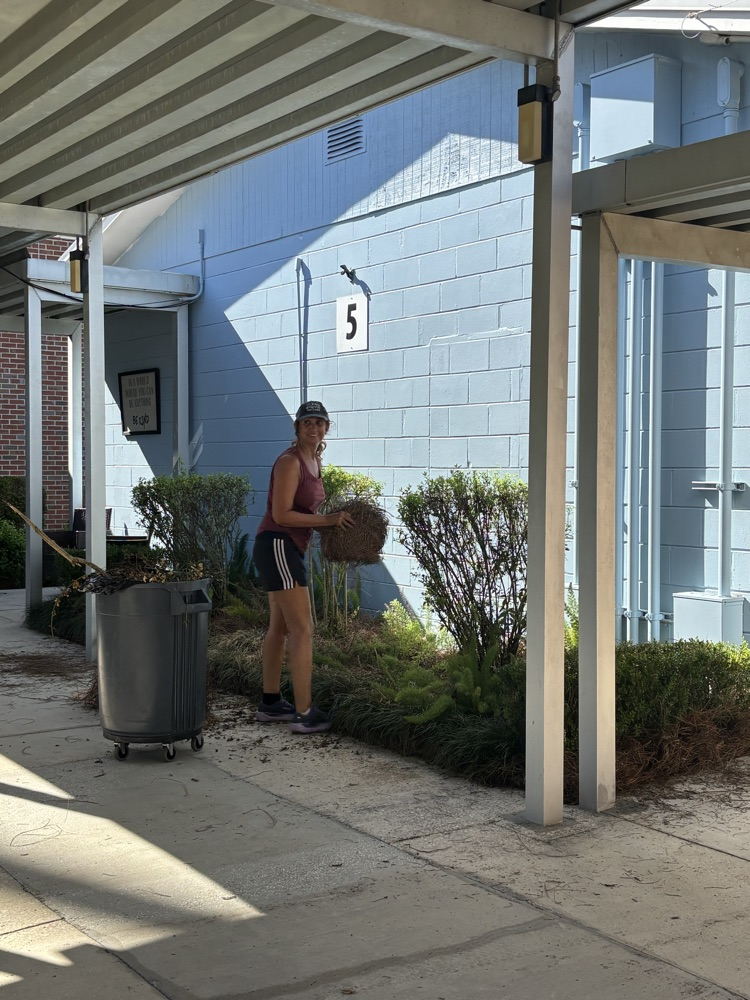Mrs. Davis spreading straw.