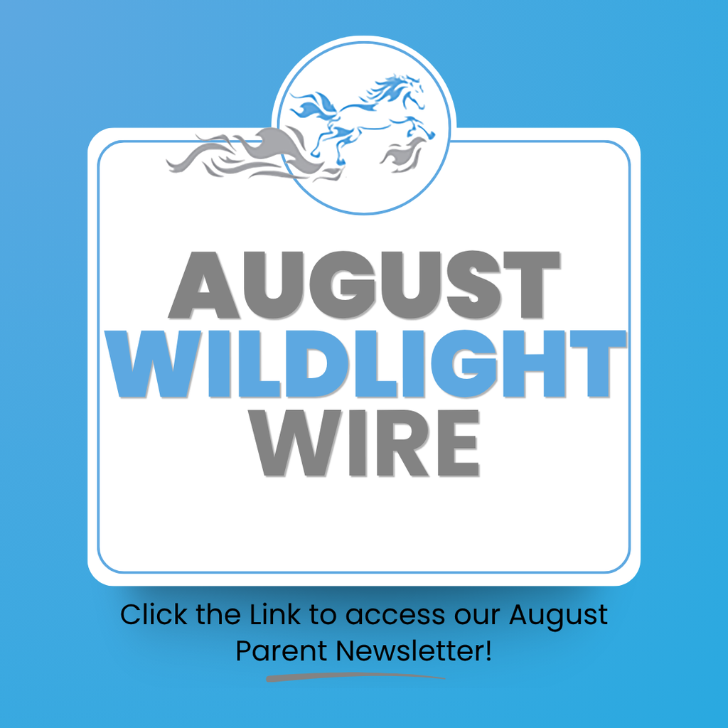 Wildlight Infographic announcing the august parent newsletter. Click for the link
