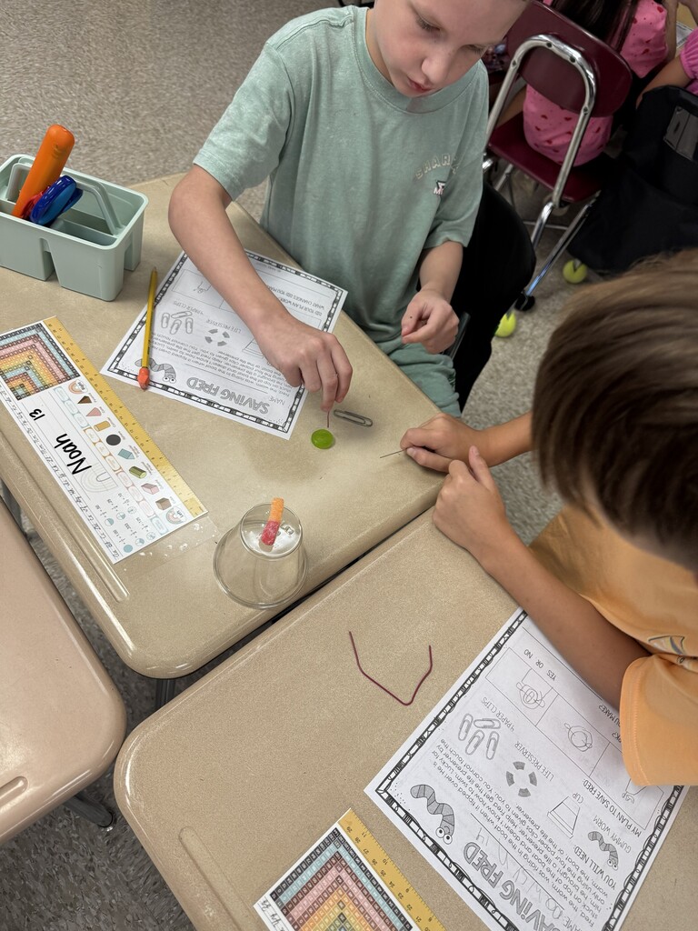 Students work to use a paperclip to pull a gummy worm through a life saver.