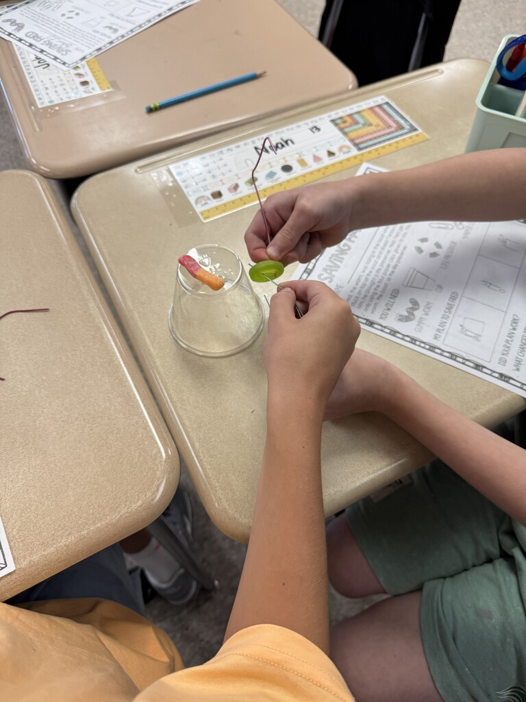 Students work to use a paperclip to pull a gummy worm through a life saver.