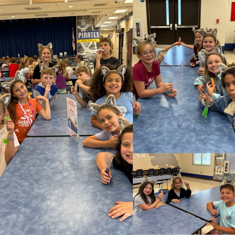 a photo collage of students smiling while wearing wolf ear hand bands and enjoying an ice pop