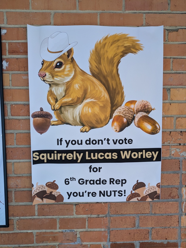 Picture showing a brown squirrel and acorns. The squirrel is wearing a cowboy hat and there are acorns scattered about his feet.