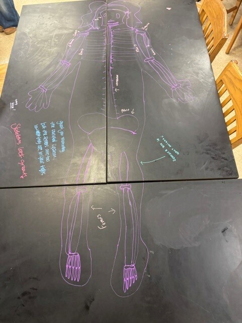 Table Chalk Art in Anatomy Class.