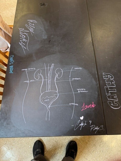 Table Chalk Art in Anatomy Class.