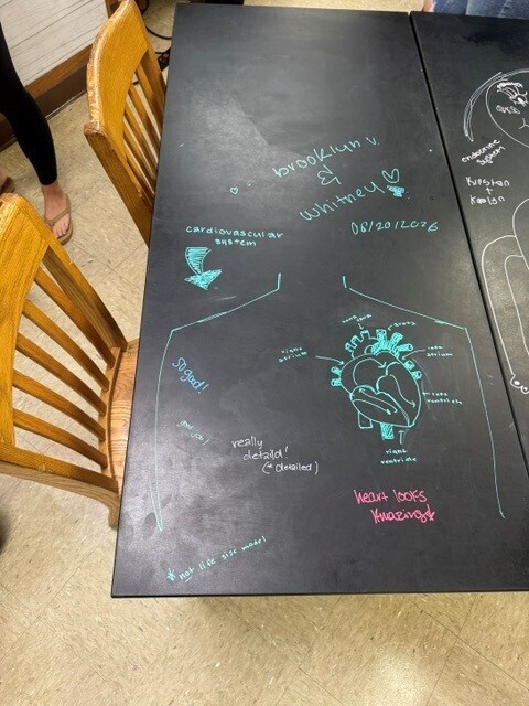 Table Chalk Art in Anatomy Class.
