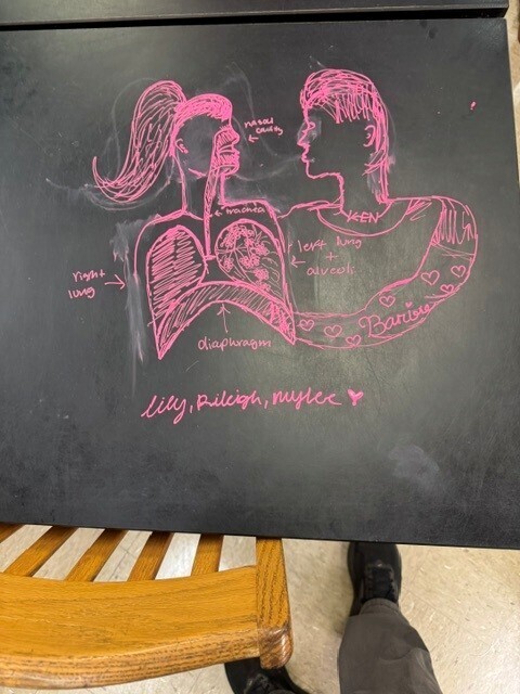 Table Chalk Art in Anatomy Class.