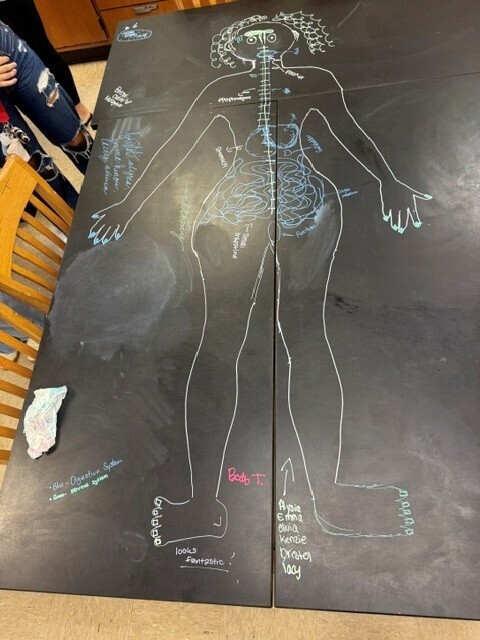 Table Chalk Art in Anatomy Class.