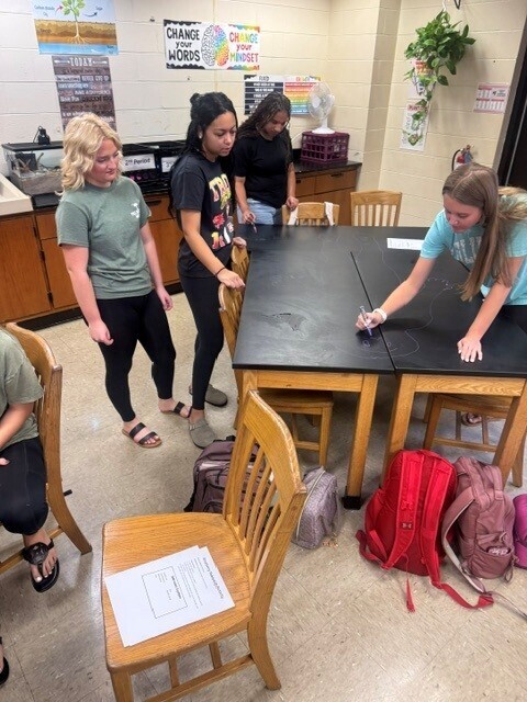 Table Chalk Art in Anatomy Class.