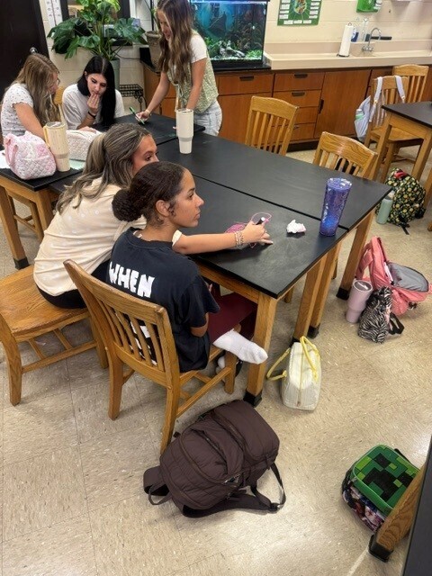 Table Chalk Art in Anatomy Class.