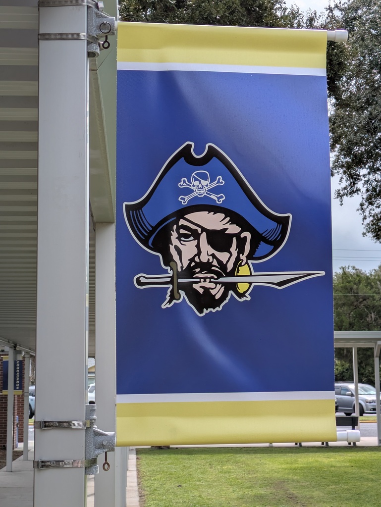Picture of a blue, yellow, and white banner with a pirate head. He's holding a sword in his mouth, has a patch on his left eye, and a blue pirate hat on.