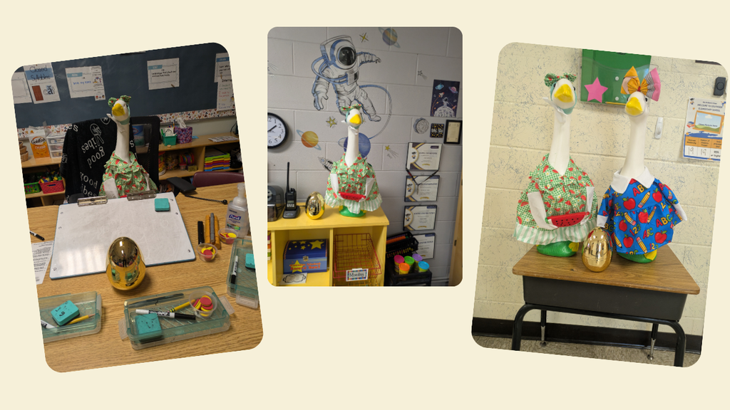Collage showing three classroom displays featuring Molly Rogers, a goose mascot, and golden eggs. The goose is dressed in colorful clothing and posed near a shiny golden egg in each classroom.