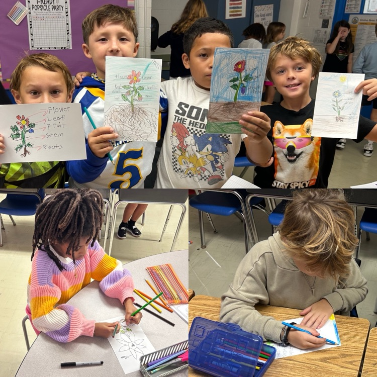 The top pic shows 4 students holding up papers where they labeled parts of a plant.  the bottom left shows a girls working with color pencils and the pic in the bottom right shows a boy working with color pencils working on the project  