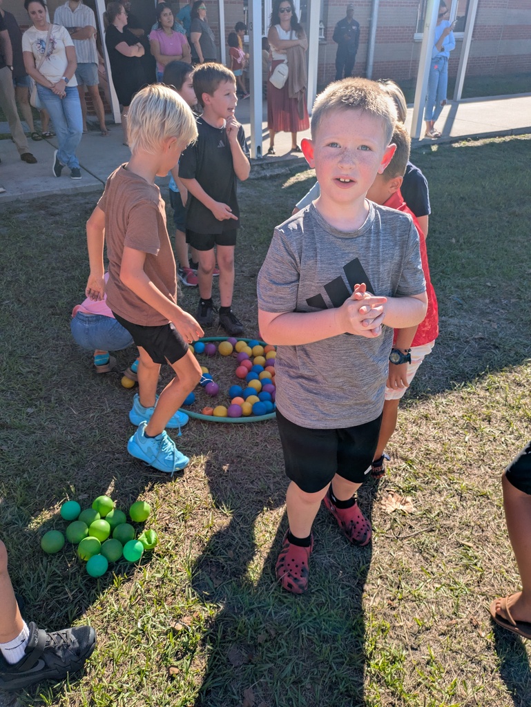 Boy in a gray shirt stands on a sunny lawn holding a small handful of colorful plastic balls, while other children gather near a bucket of balls in the background.