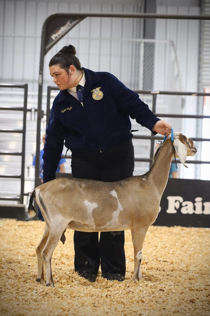 HMSHS FFA at the Northeast Florida Fair