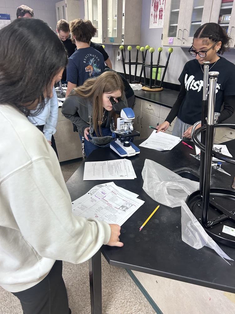 Students working on a lab in science