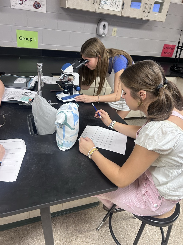 Students working on a lab in science