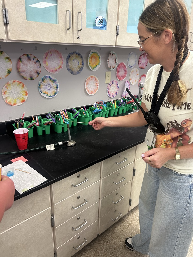 Students working on a lab in science