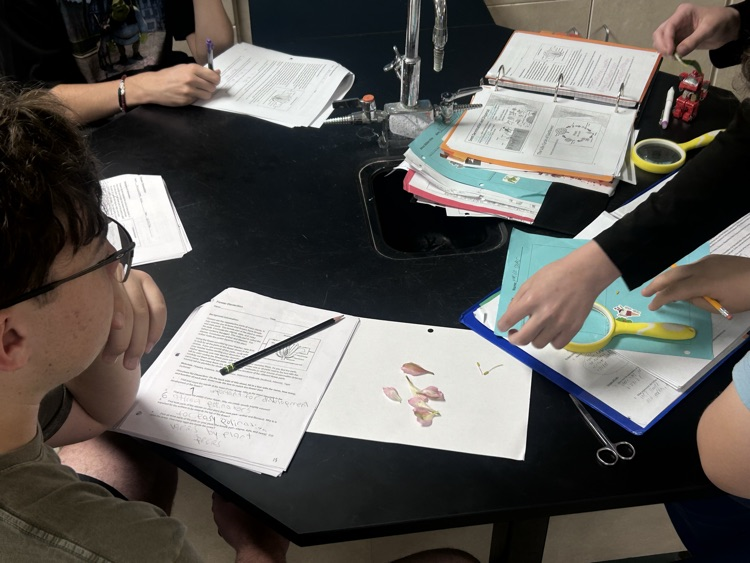 Students working on a lab in science