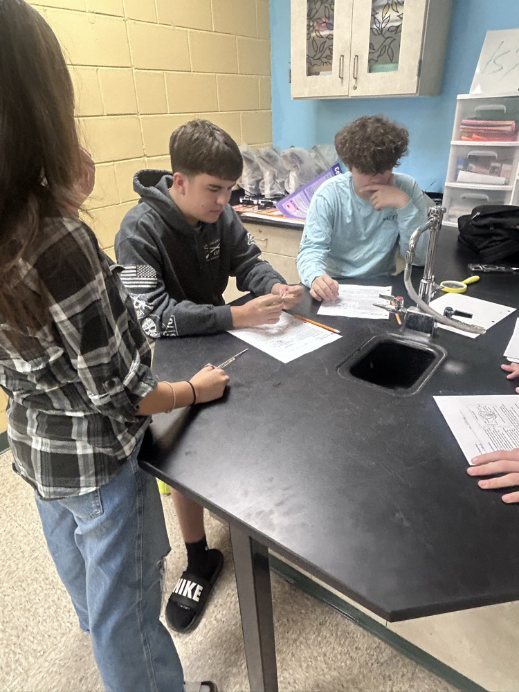 Students working on a lab in science