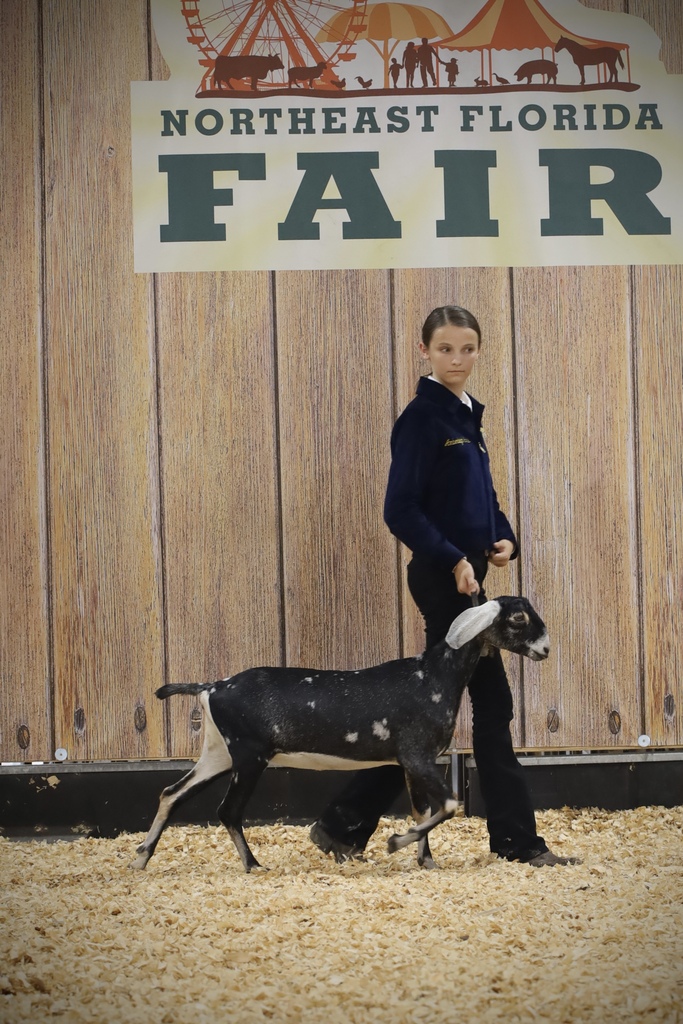 FFFA students receiving awards at the Northeast Florida Fair