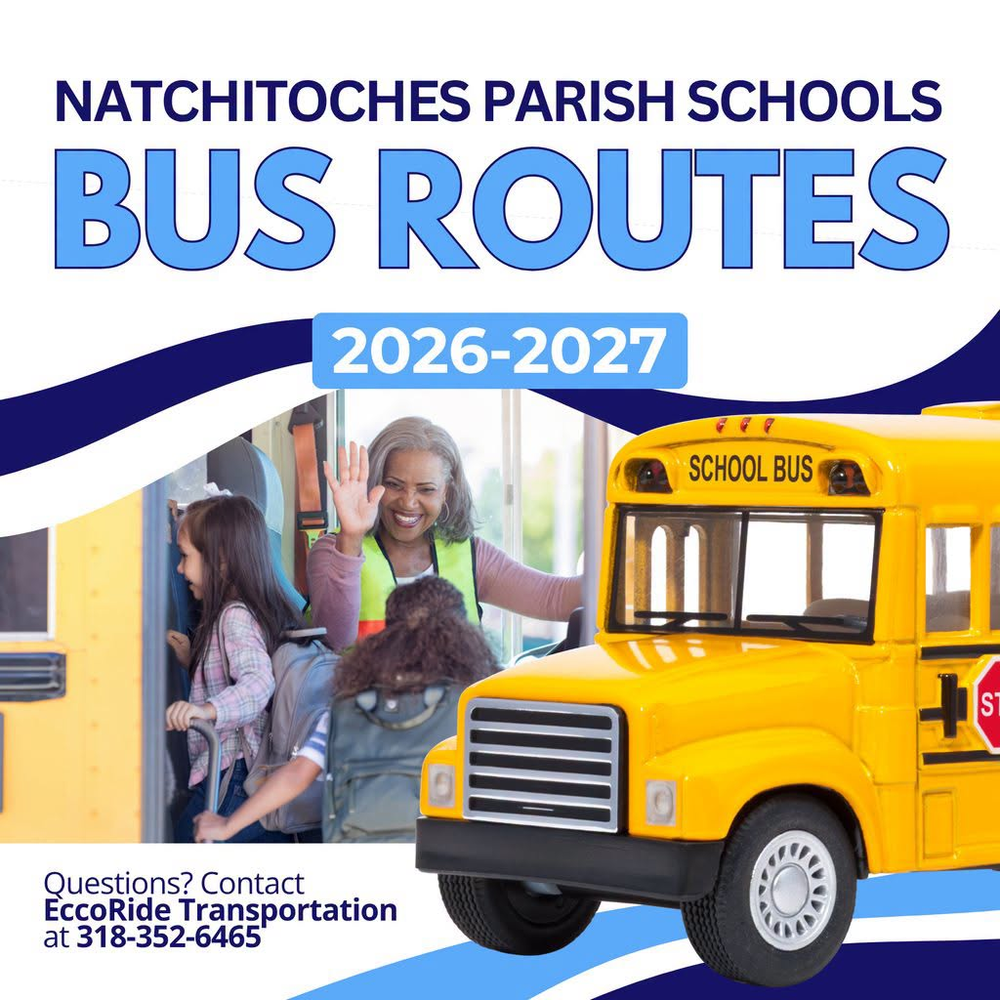 Bus Routes