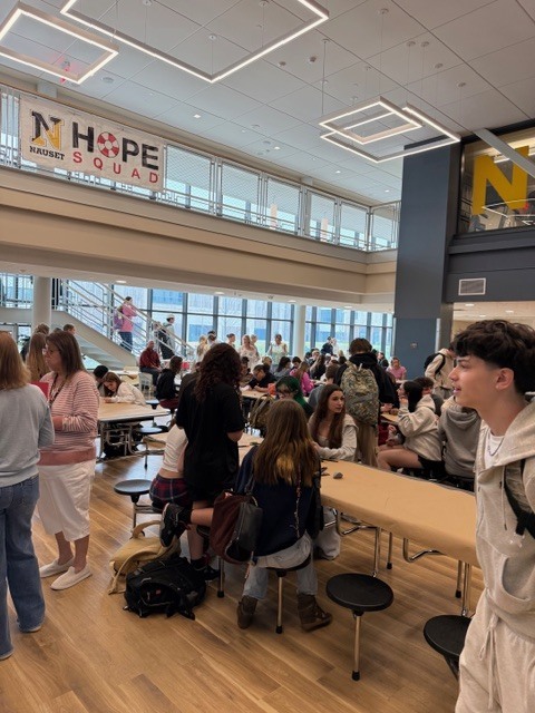 Image of NRHS Students participating in the Hope Squad Rocks Project