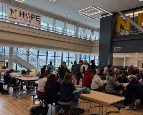 Image of NRHS Students participating in the Hope Squad Rocks Project