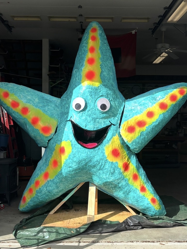 Sea-Sea Starfish