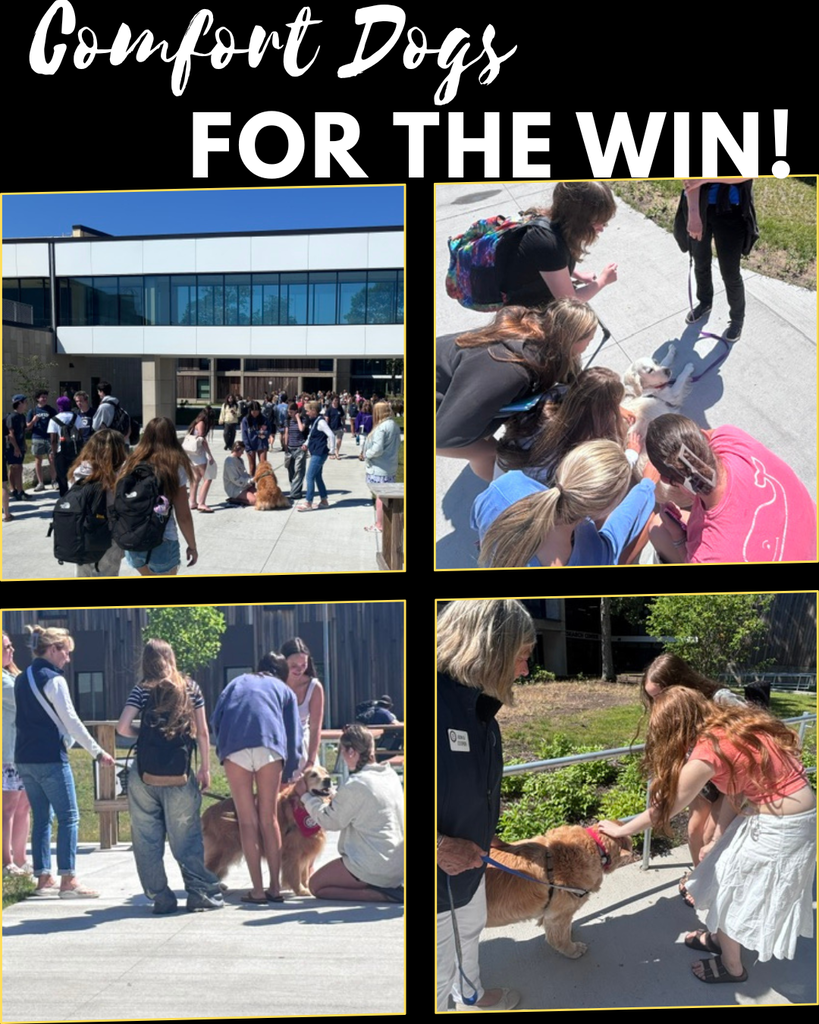 Images of students with the comfort dogs out in the courtyard in between finals. 