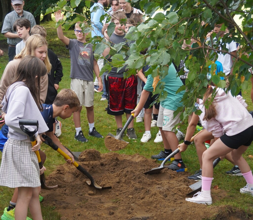 students plant tree
