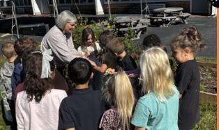 Second Graders released Monarch Butterflies they hatched in STEM class with Mrs Fish!