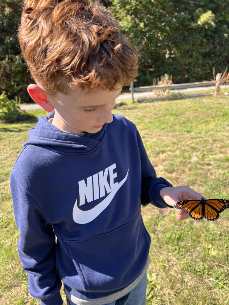 Second grade released butterflies.