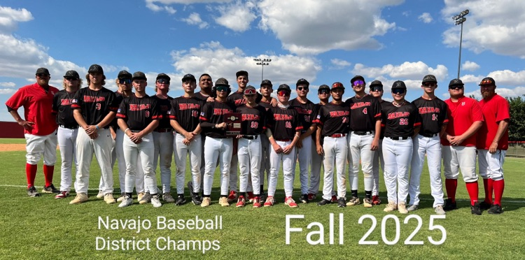 HS baseball pose as they win district championships