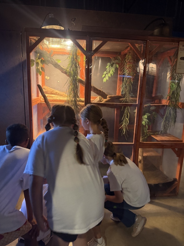 Field trip to the Aquarium 