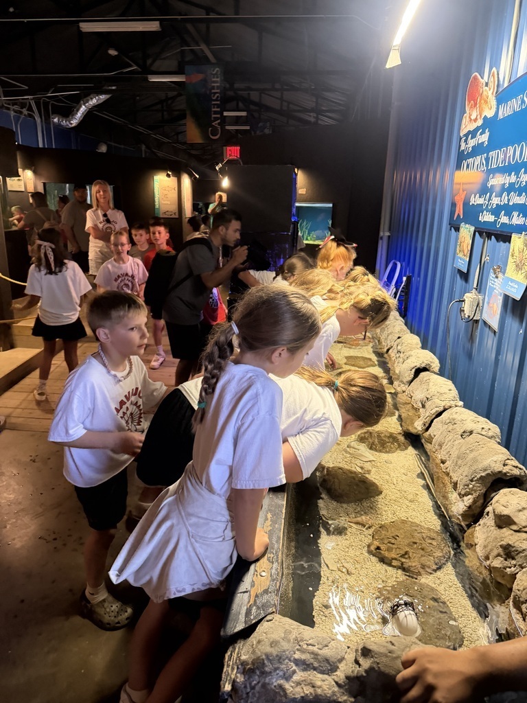 Field trip to the Aquarium 