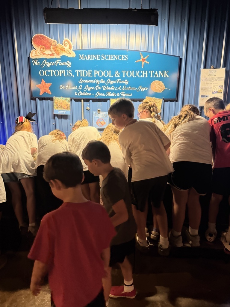 Field trip to the Aquarium 