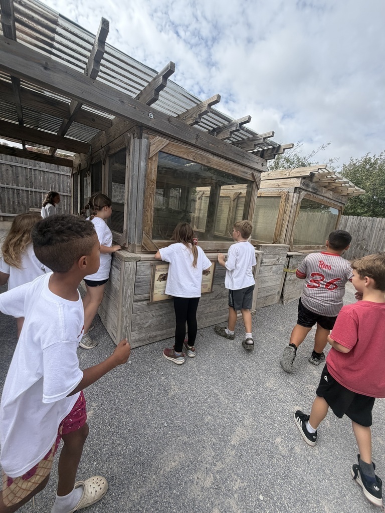 Field trip to the Aquarium 