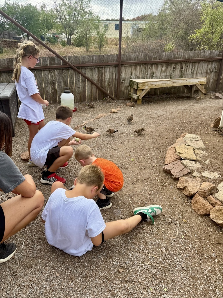 Field trip to the Aquarium 