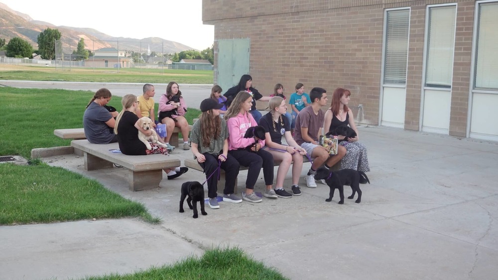 PHS Puppy Training Program