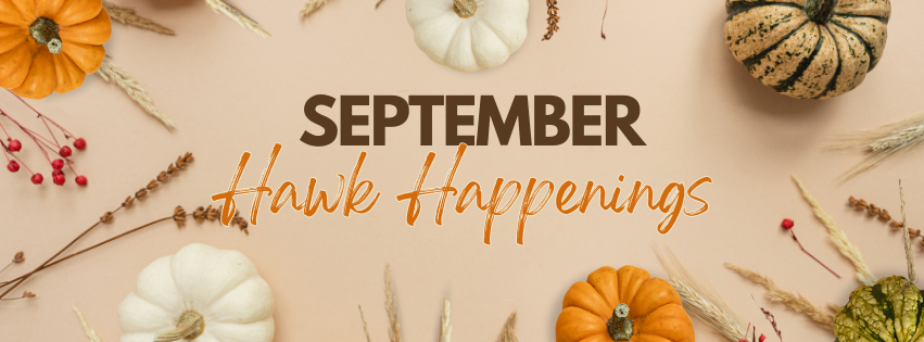 pumpkins, september hawk happenings
