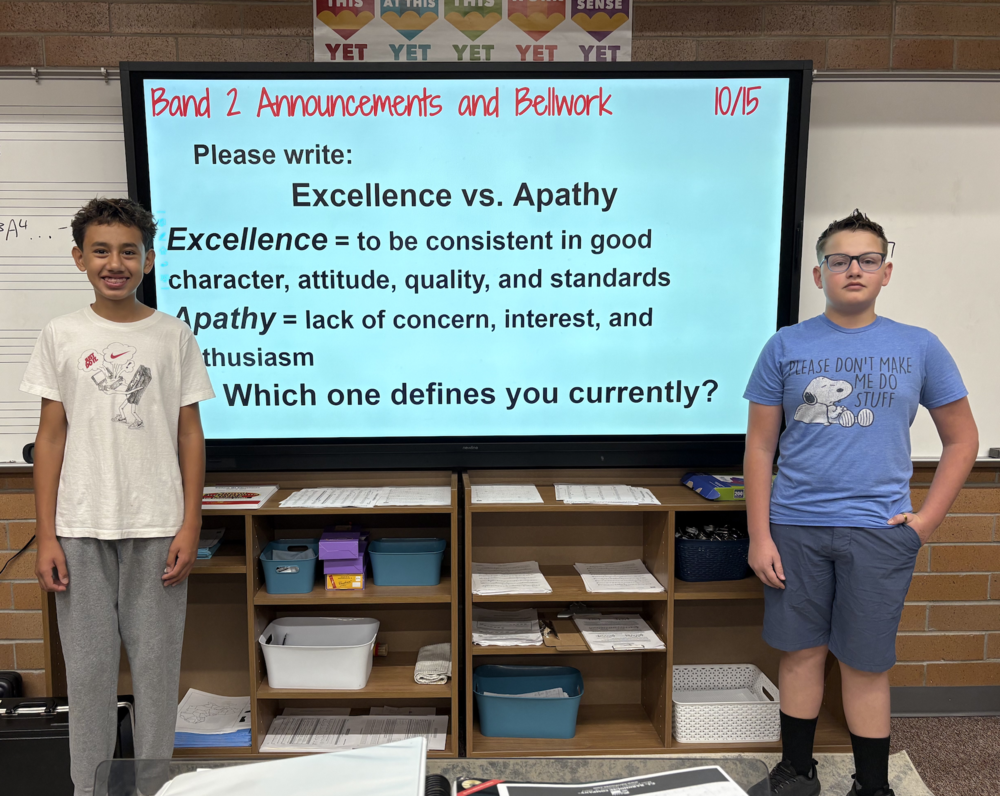 Excellence vs apathy