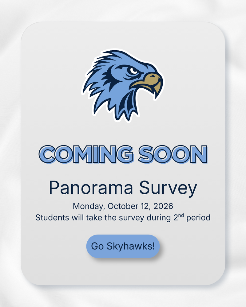 Panorama Survey
