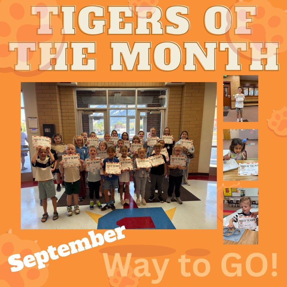 Tigers of the month