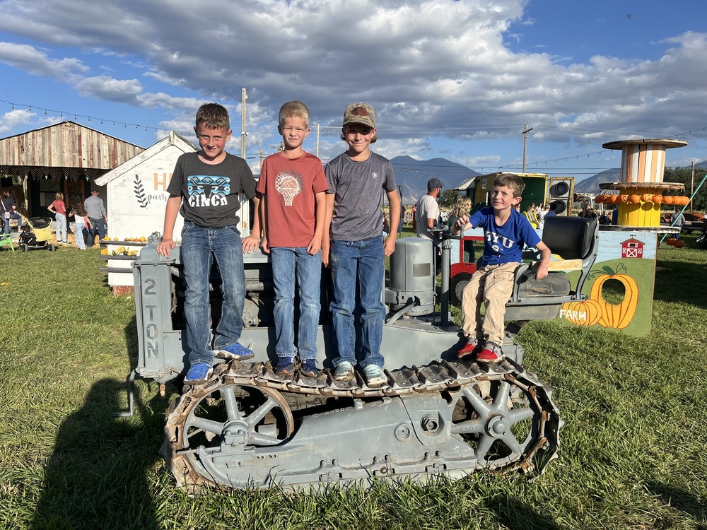 Fall Festival