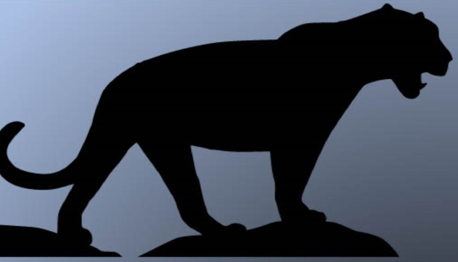 panther
