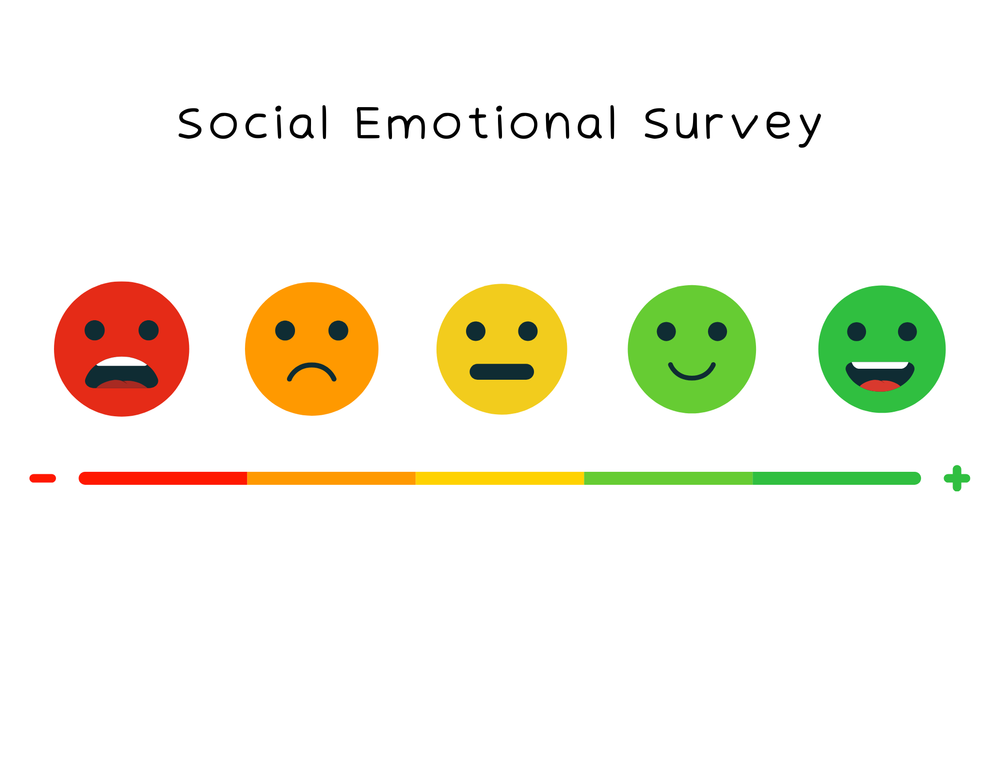 Social Emotional Survey