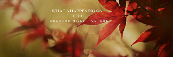 October Newletter