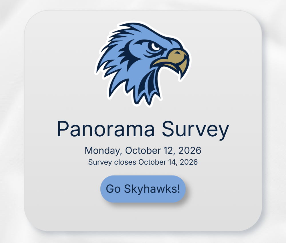 Panorama Survey
